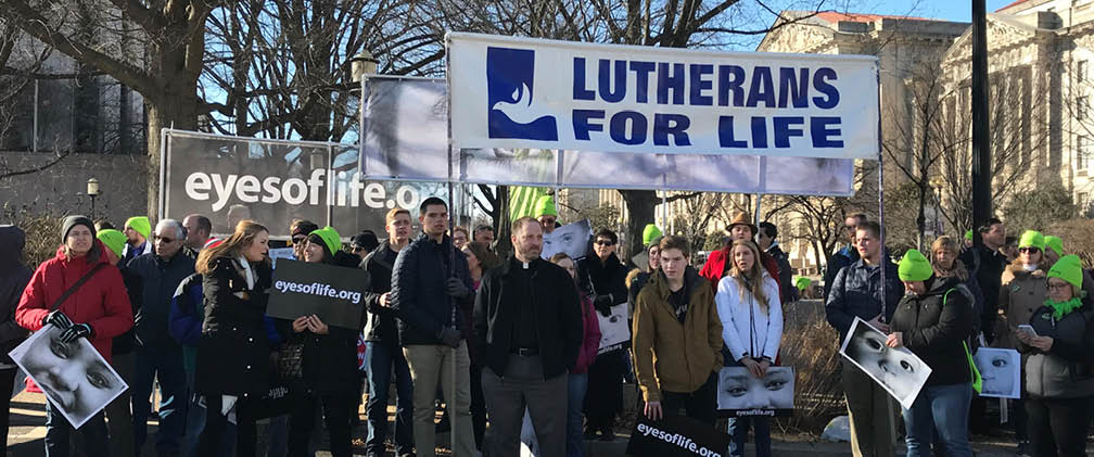Lutherans For Life