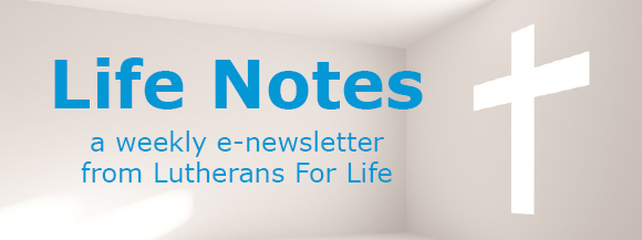 Life Notes header